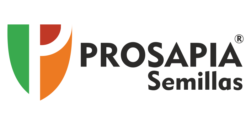 Prosapia Semillas - Genética de Origen Superior Argentina